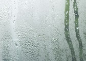 Misty Glass